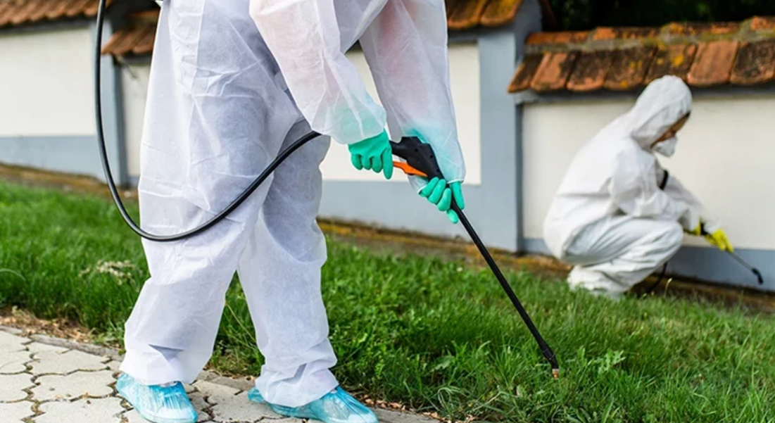 Doğal ve Kimyasal İlaçlama