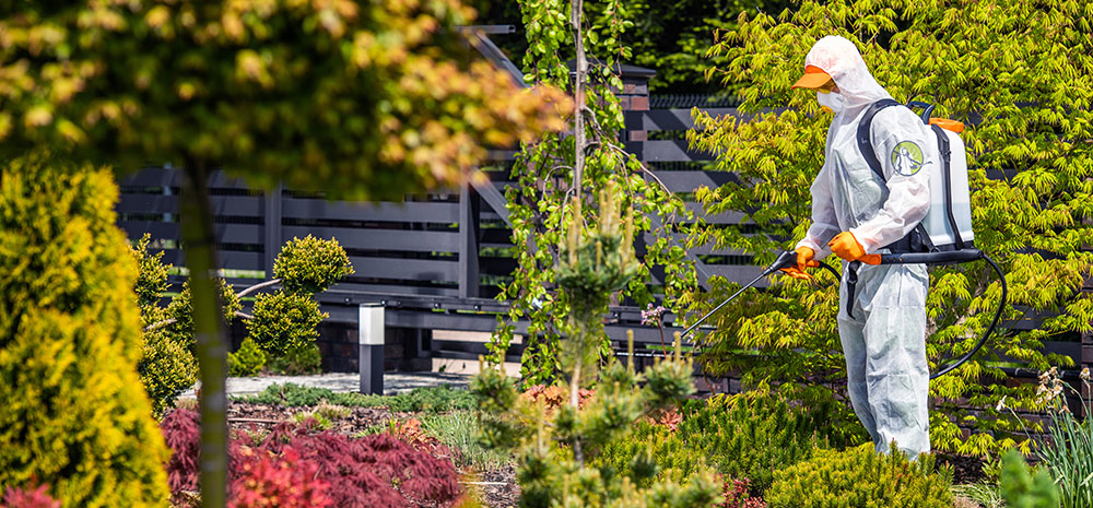 Erken Tespit Yöntemleri